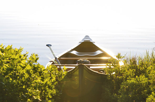row-boat-381223_960_720.jpg